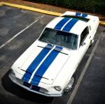 Shelby GT350 by MetroWrapz 2019 года